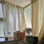 Custom Latte Classical Sheer