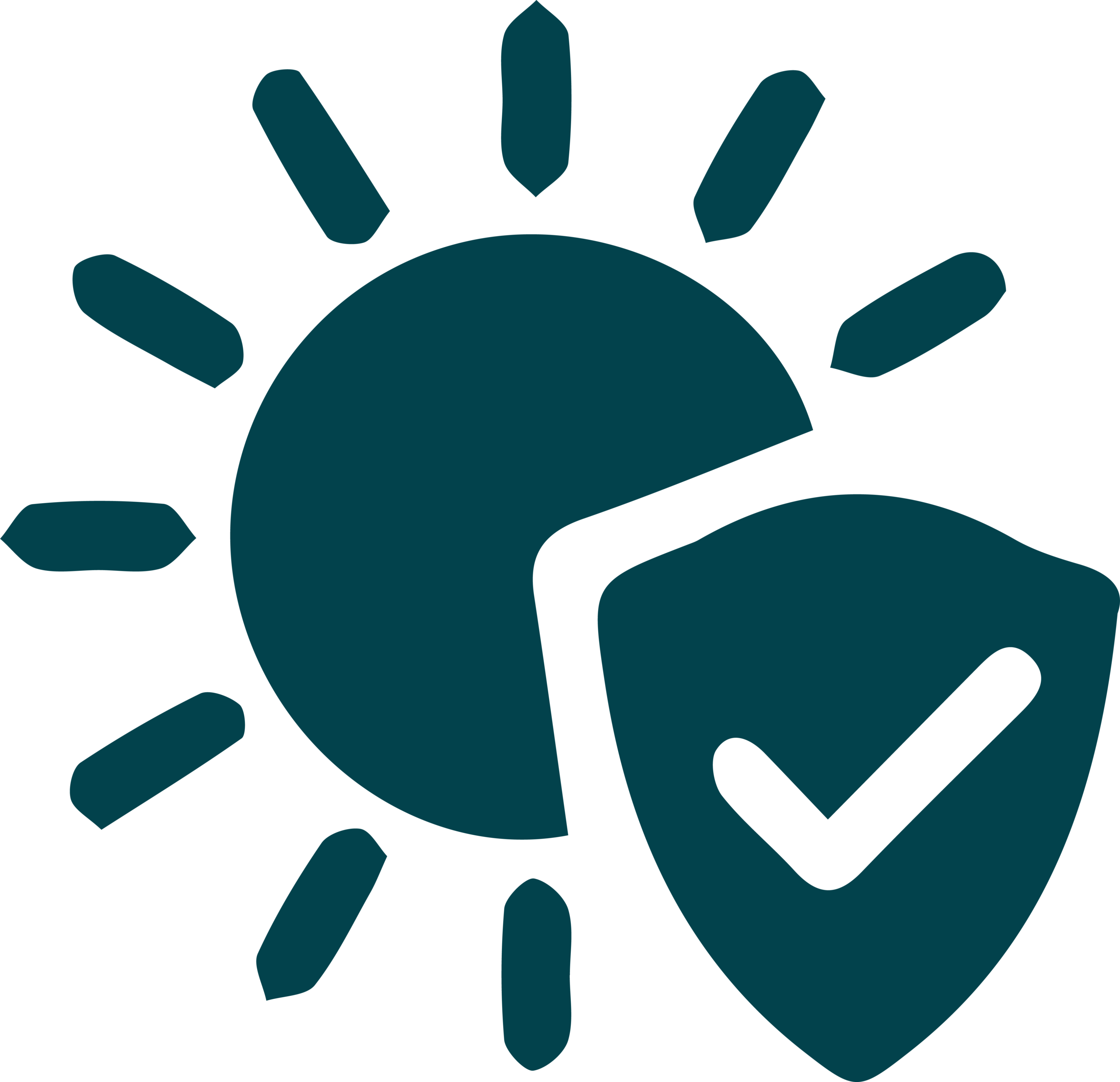 Intense Sunlight Protection