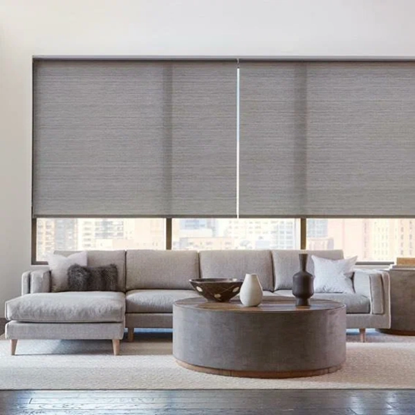 Living Room Blinds